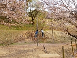 岡岳公園